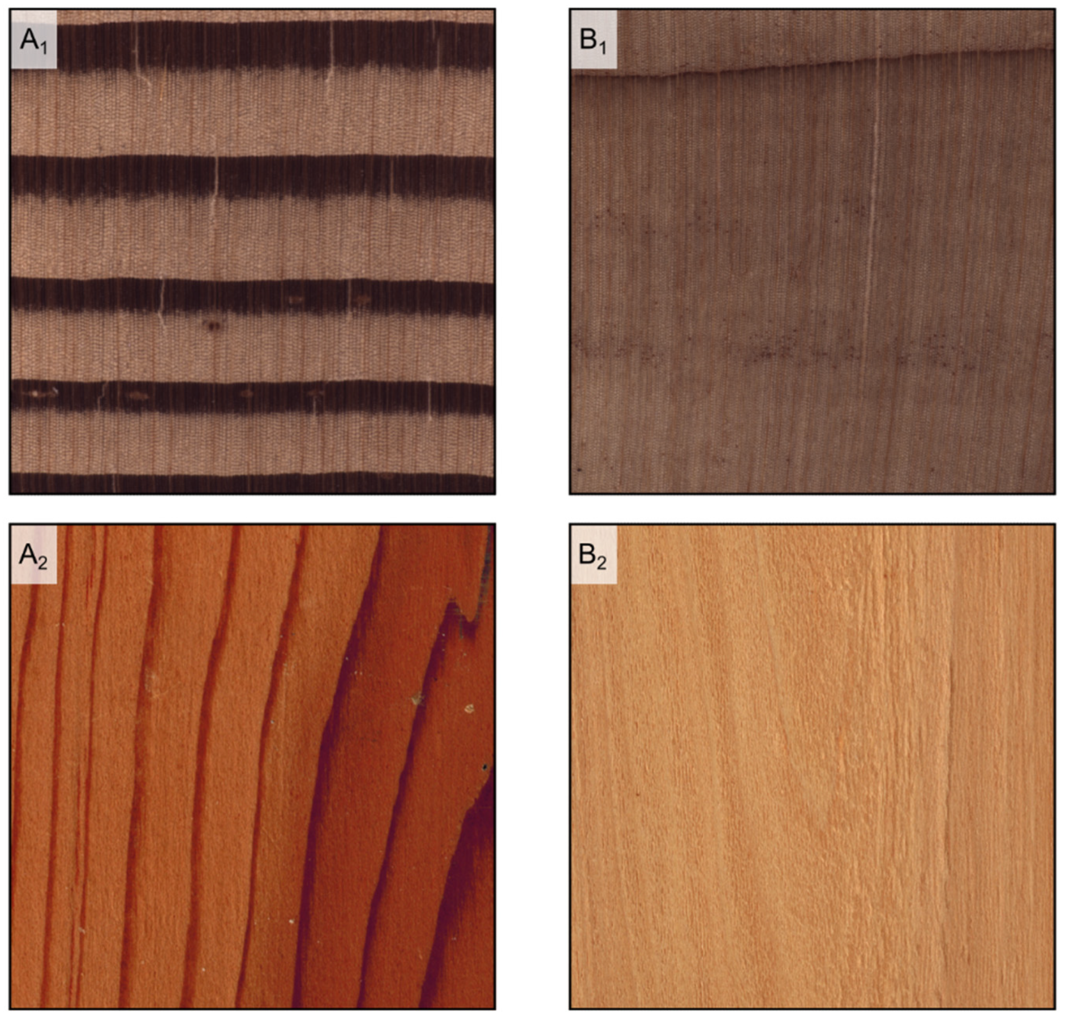 Forests 14 00644 g005