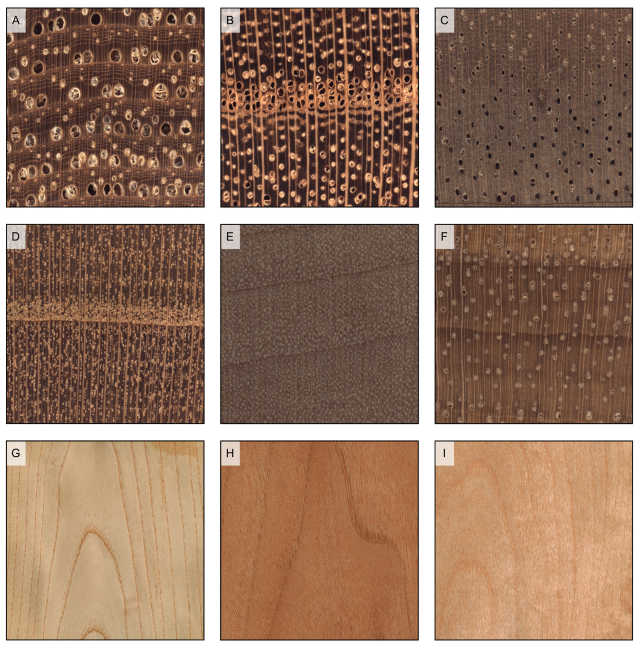 Forests 14 00644 g006