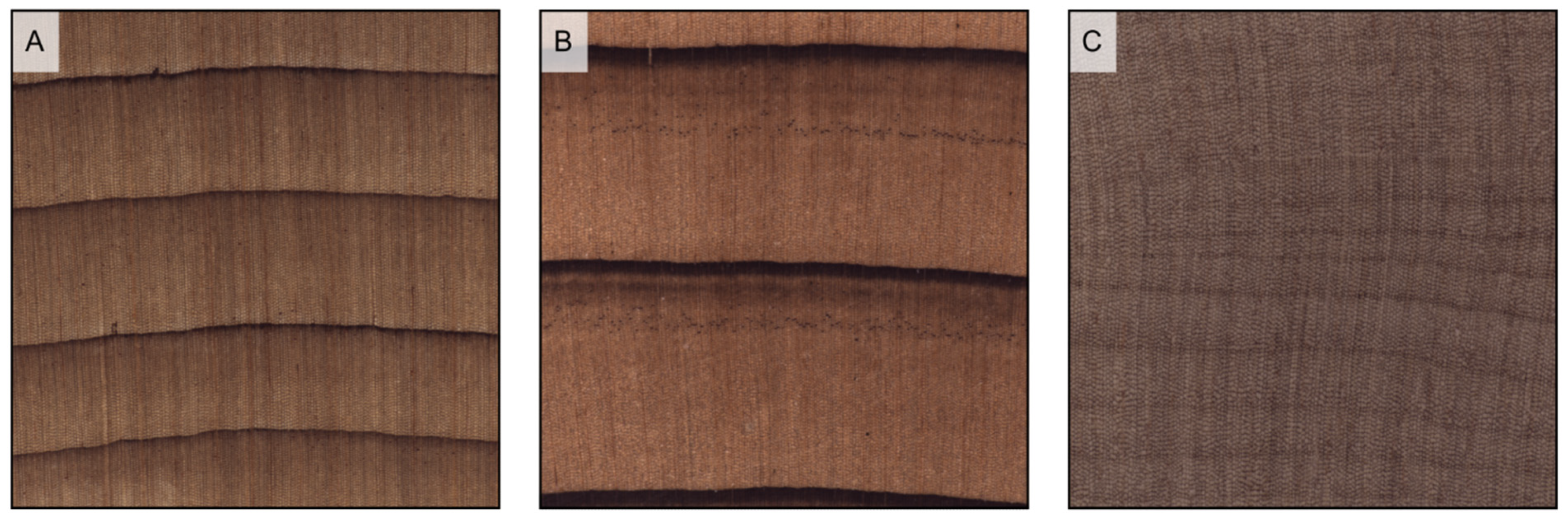 Forests 14 00644 g007