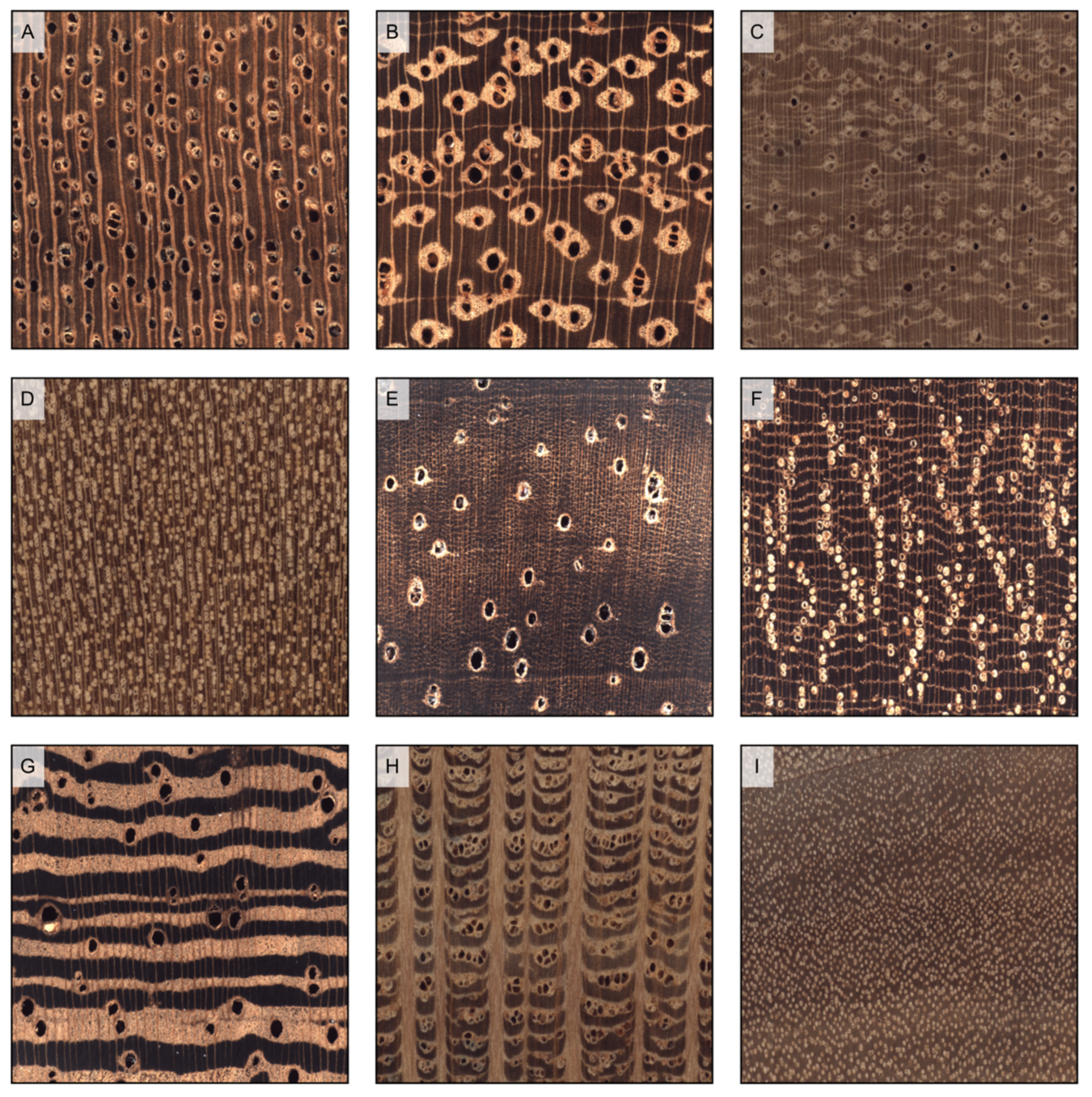 Forests 14 00644 g008