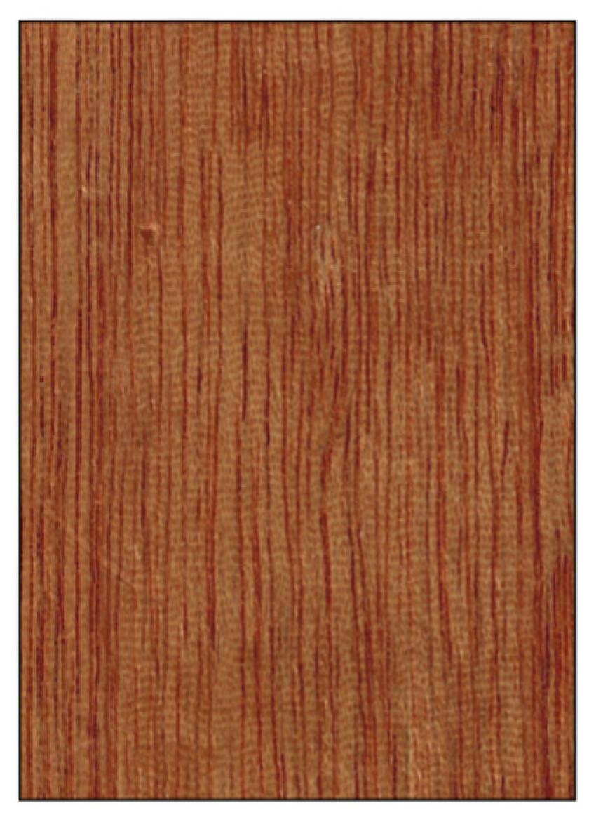 Forests 14 00644 g011