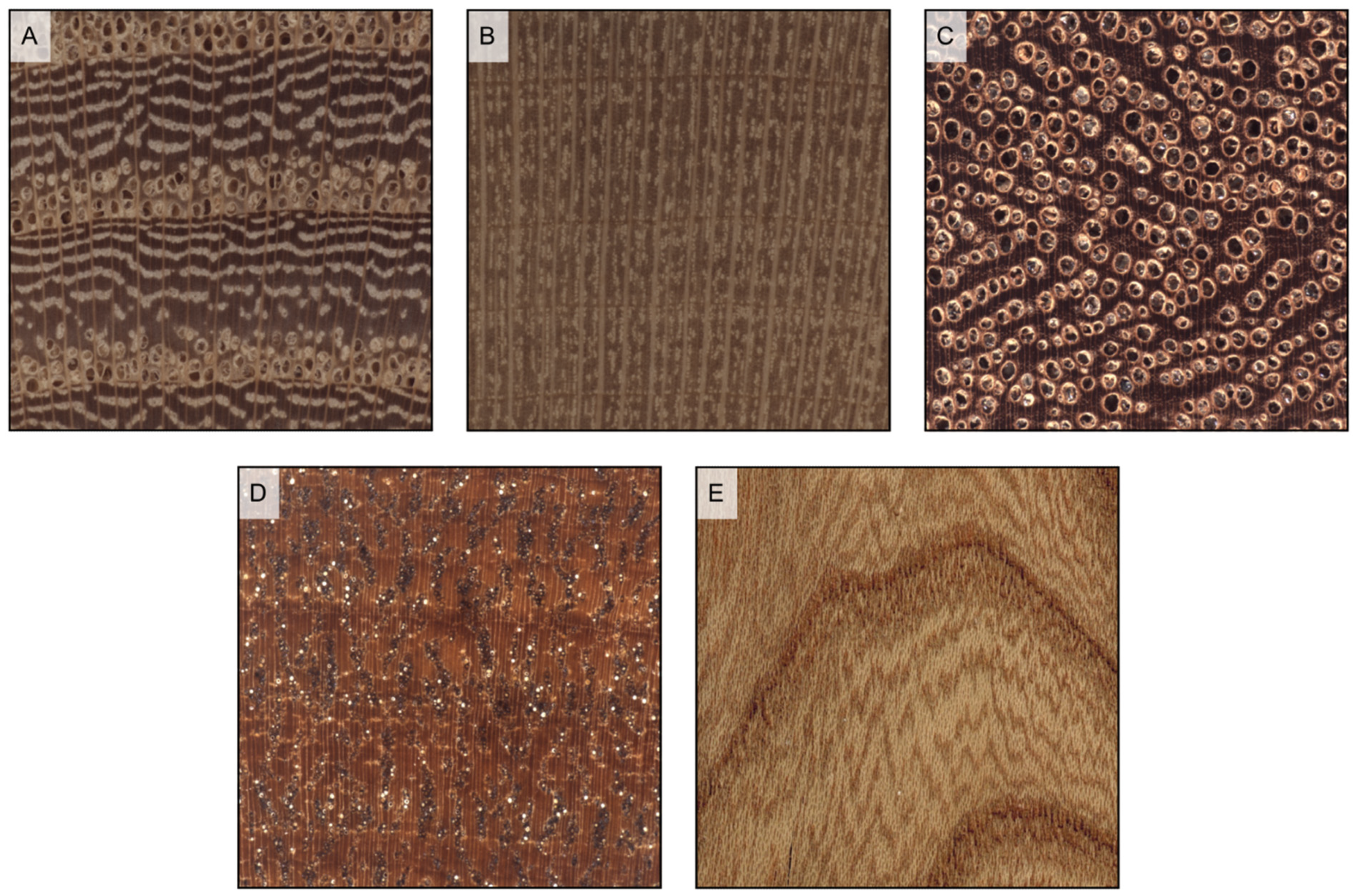 Forests 14 00644 g012