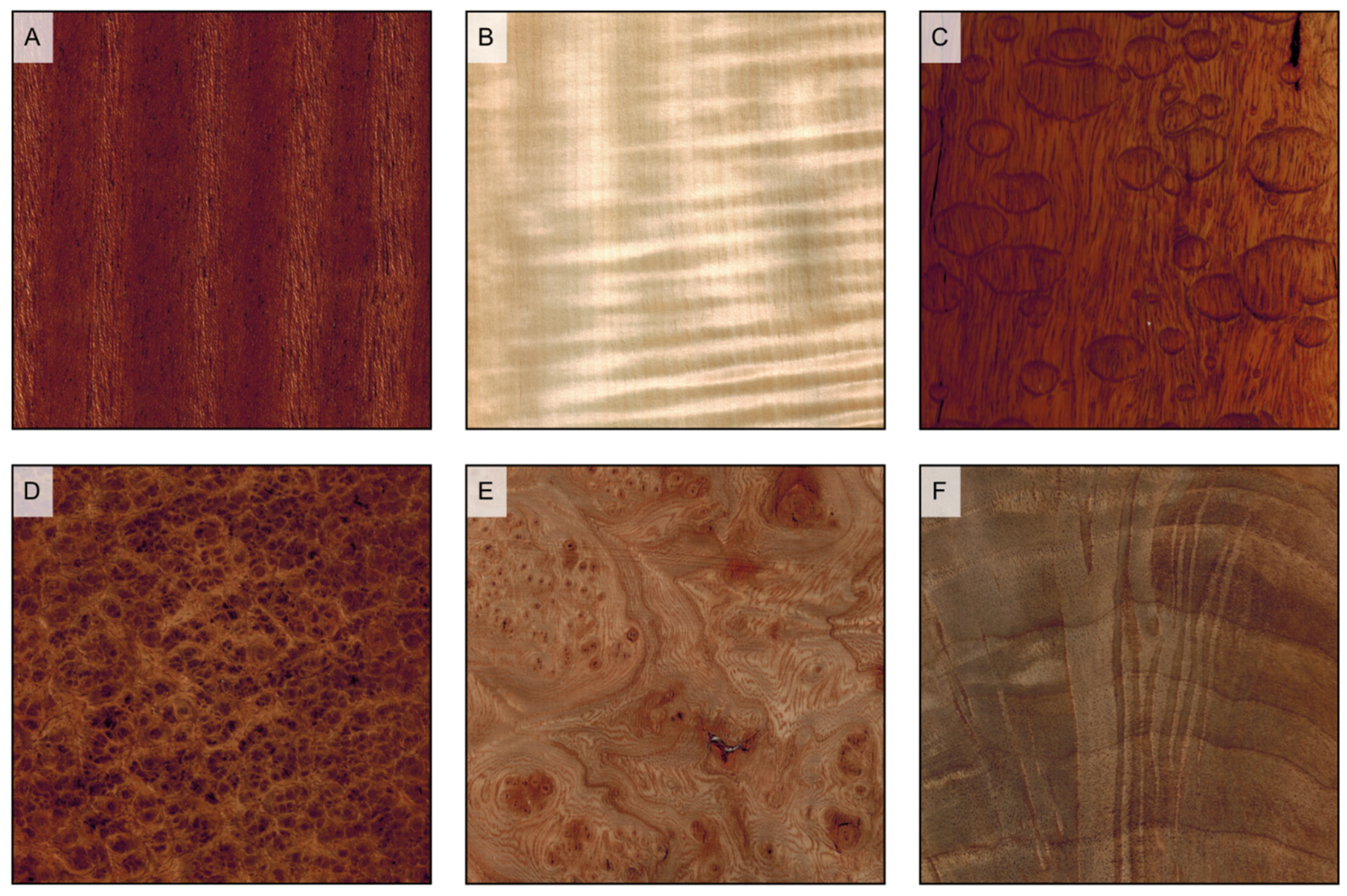 Forests 14 00644 g014