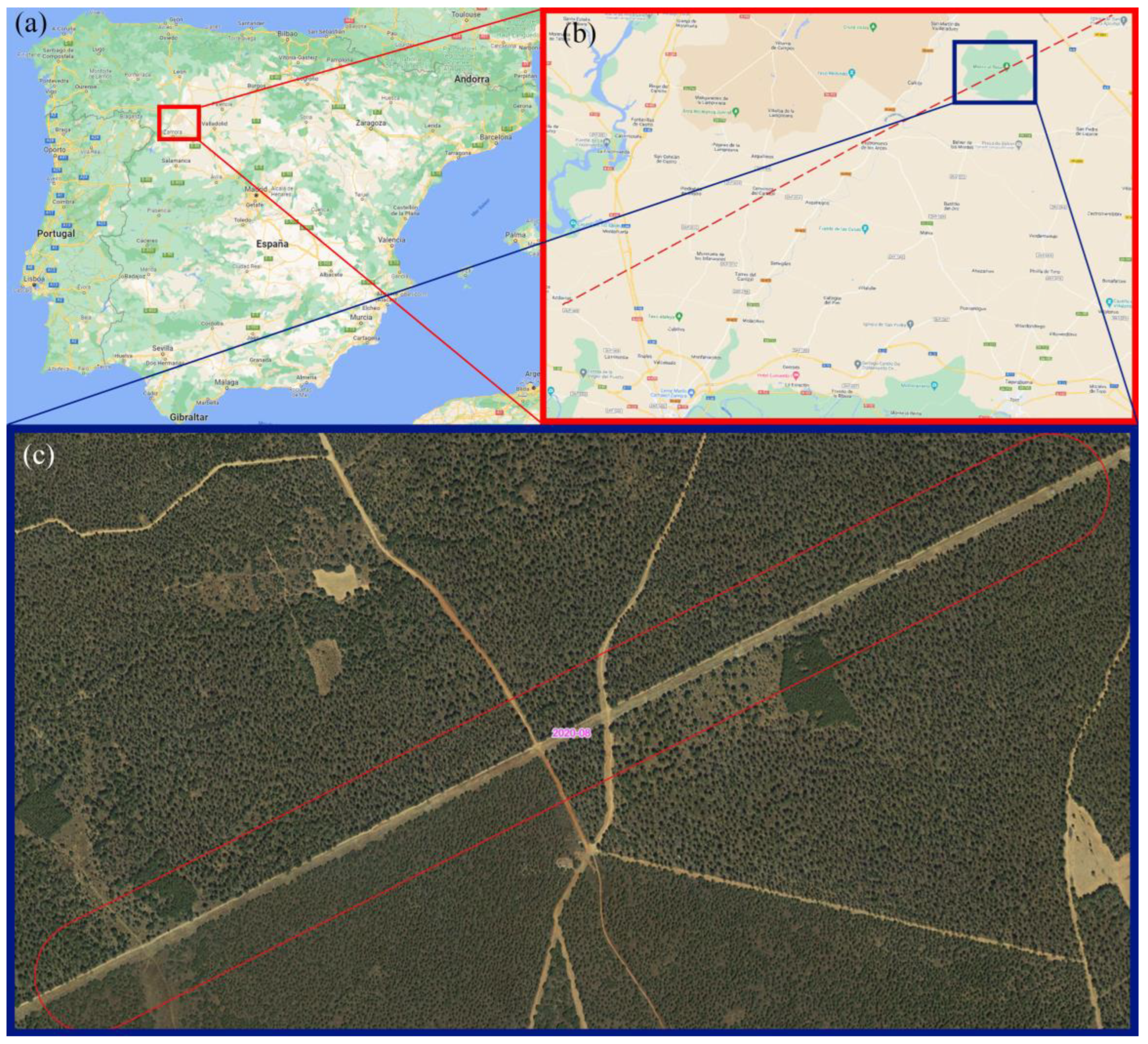 Forests 14 00662 g007 Forests 14 00662 g007