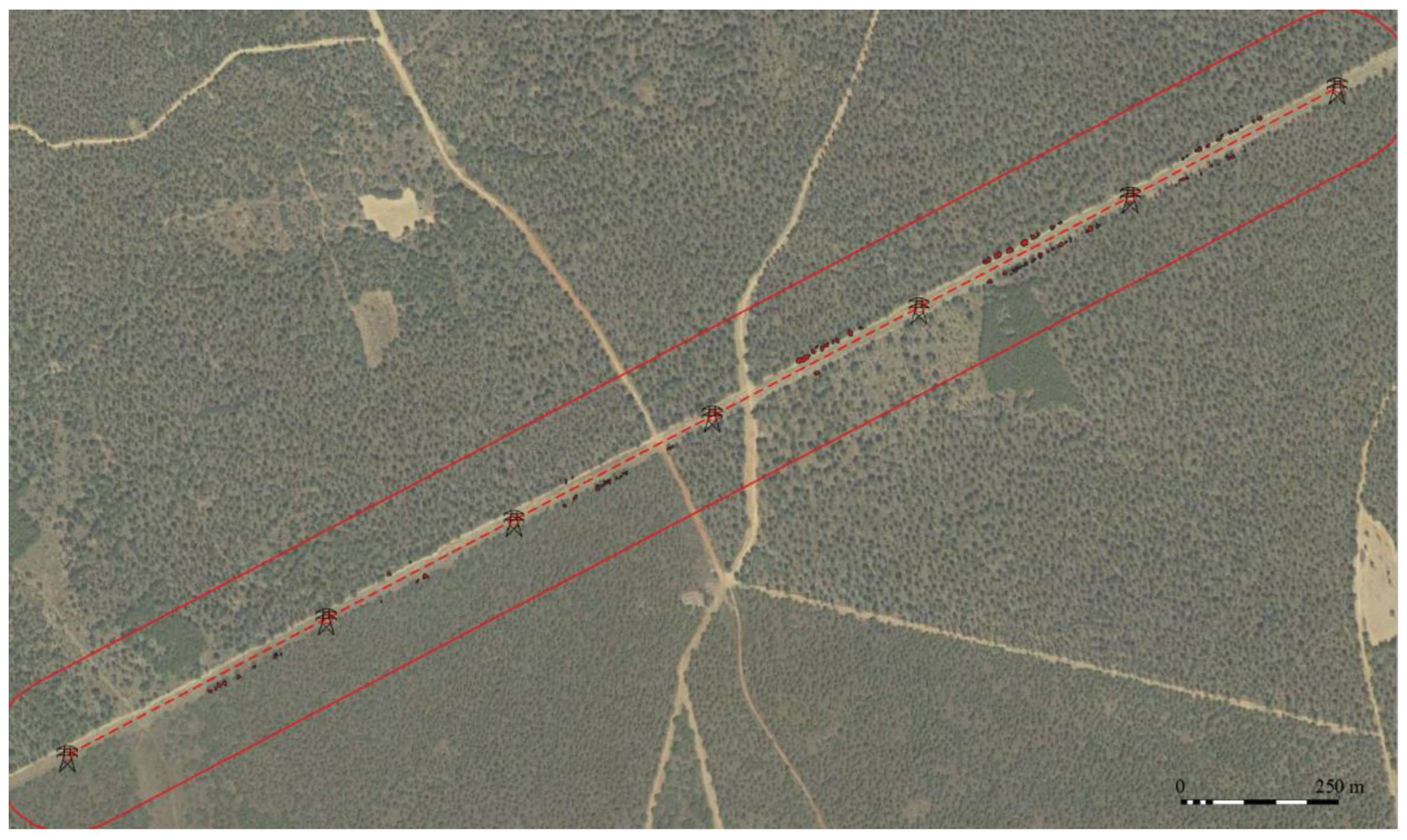 Forests 14 00662 g008 Forests 14 00662 g008