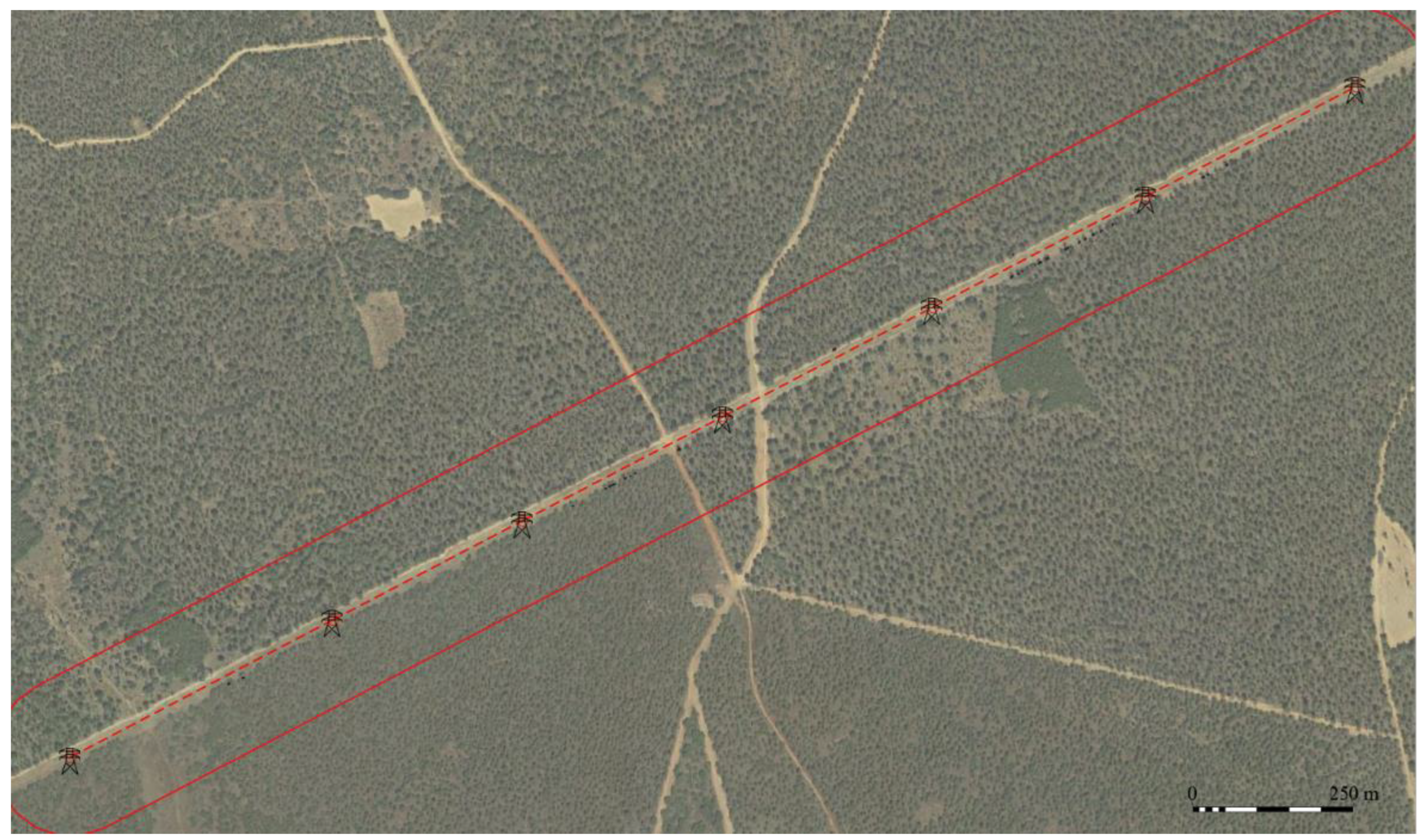 Forests 14 00662 g010 Forests 14 00662 g010