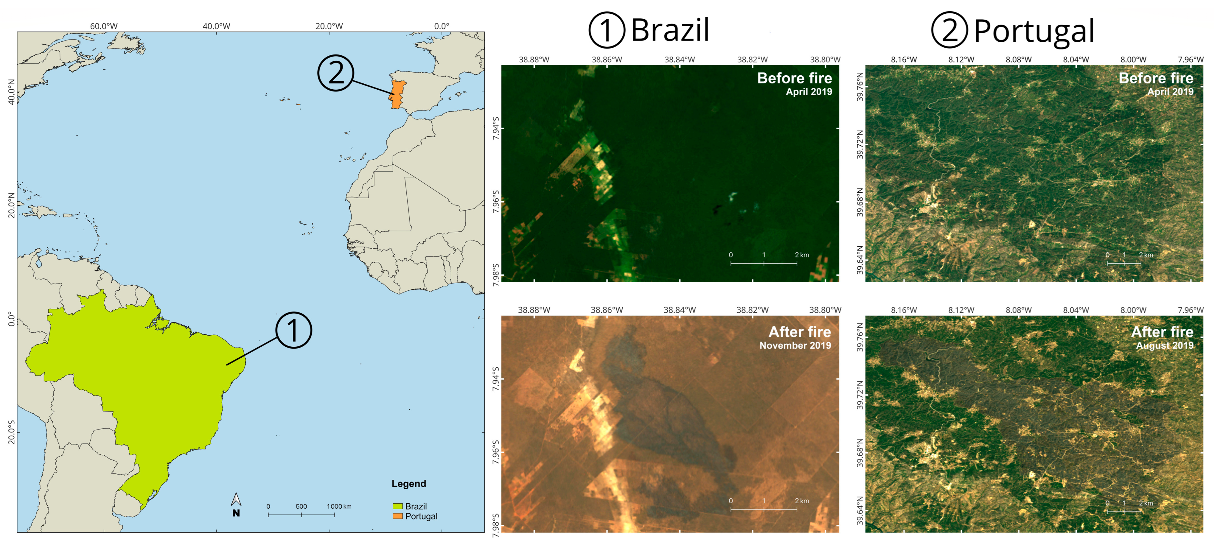 Forests 14 00663 g001