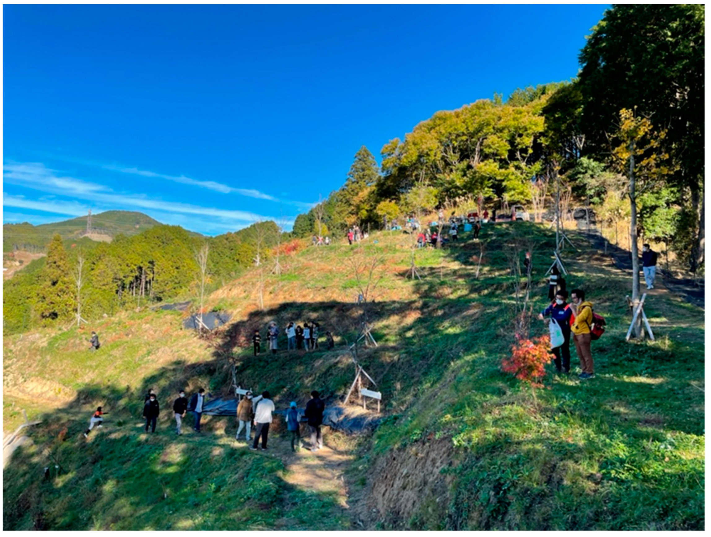 Forests 14 00664 g007 550