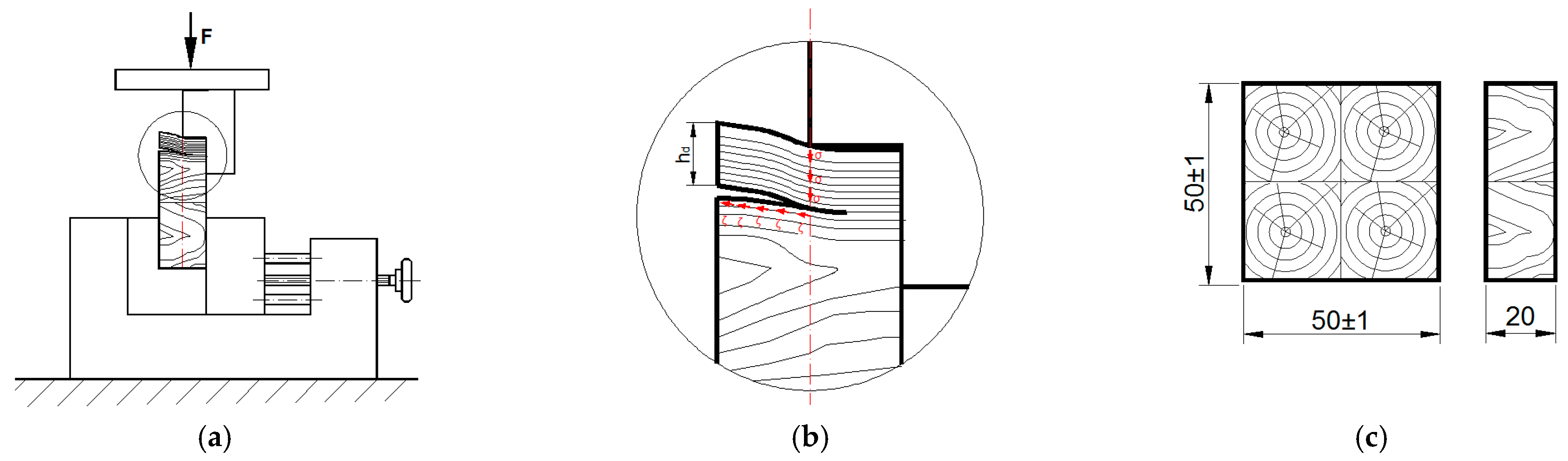 Forests 14 00665 g005 Forests 14 00665 g005