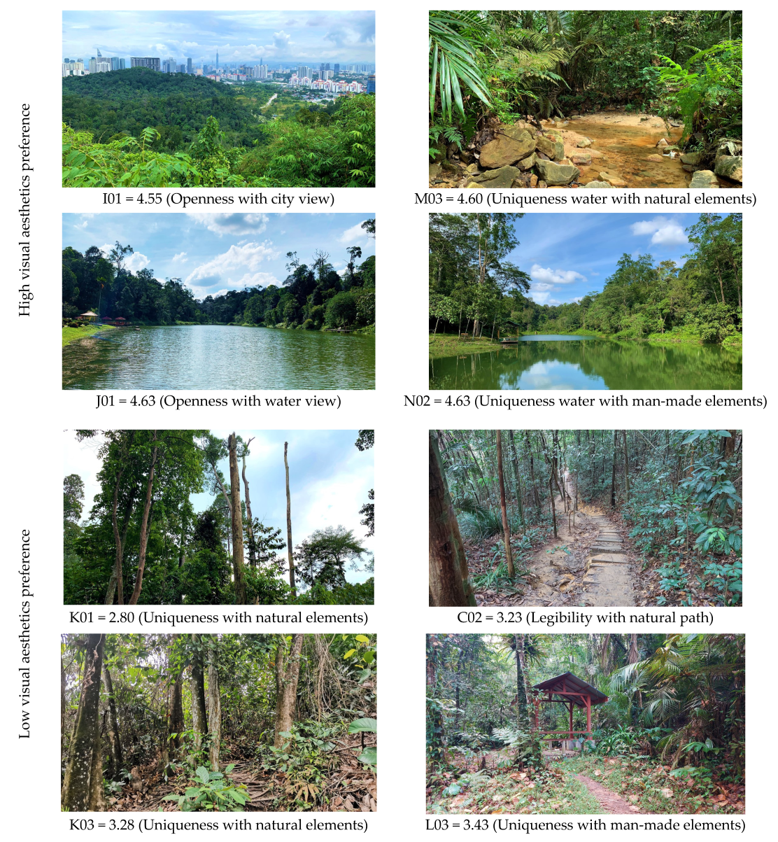 Forests 14 00669 g003 Forests 14 00669 g003