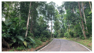 Forests 14 00669 i006 Forests 14 00669 i006