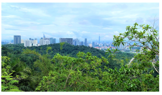 Forests 14 00669 i009 Forests 14 00669 i009