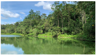 Forests 14 00669 i010 Forests 14 00669 i010