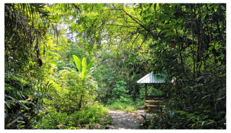 Forests 14 00669 i012 Forests 14 00669 i012