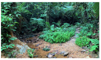 Forests 14 00669 i013 Forests 14 00669 i013