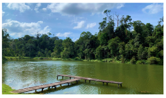 Forests 14 00669 i014 Forests 14 00669 i014