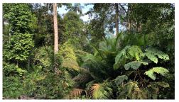 Forests 14 00669 i020 Forests 14 00669 i020