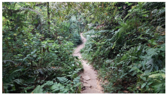 Forests 14 00669 i021 Forests 14 00669 i021