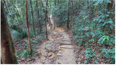 Forests 14 00669 i022 Forests 14 00669 i022