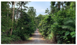 Forests 14 00669 i026 Forests 14 00669 i026