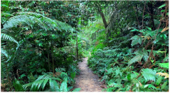 Forests 14 00669 i028 Forests 14 00669 i028