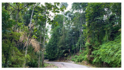 Forests 14 00669 i031 Forests 14 00669 i031