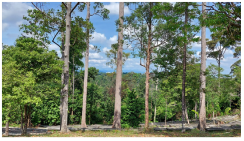 Forests 14 00669 i035 Forests 14 00669 i035