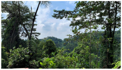 Forests 14 00669 i036 Forests 14 00669 i036