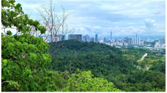 Forests 14 00669 i040 Forests 14 00669 i040