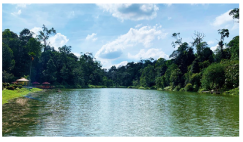 Forests 14 00669 i042 Forests 14 00669 i042