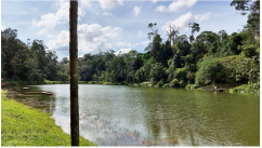 Forests 14 00669 i043 Forests 14 00669 i043