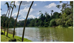 Forests 14 00669 i044 Forests 14 00669 i044