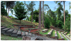 Forests 14 00669 i048 Forests 14 00669 i048