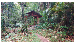 Forests 14 00669 i050 Forests 14 00669 i050