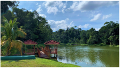 Forests 14 00669 i054 Forests 14 00669 i054