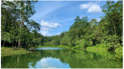 Forests 14 00669 i055 Forests 14 00669 i055