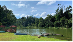 Forests 14 00669 i056 Forests 14 00669 i056