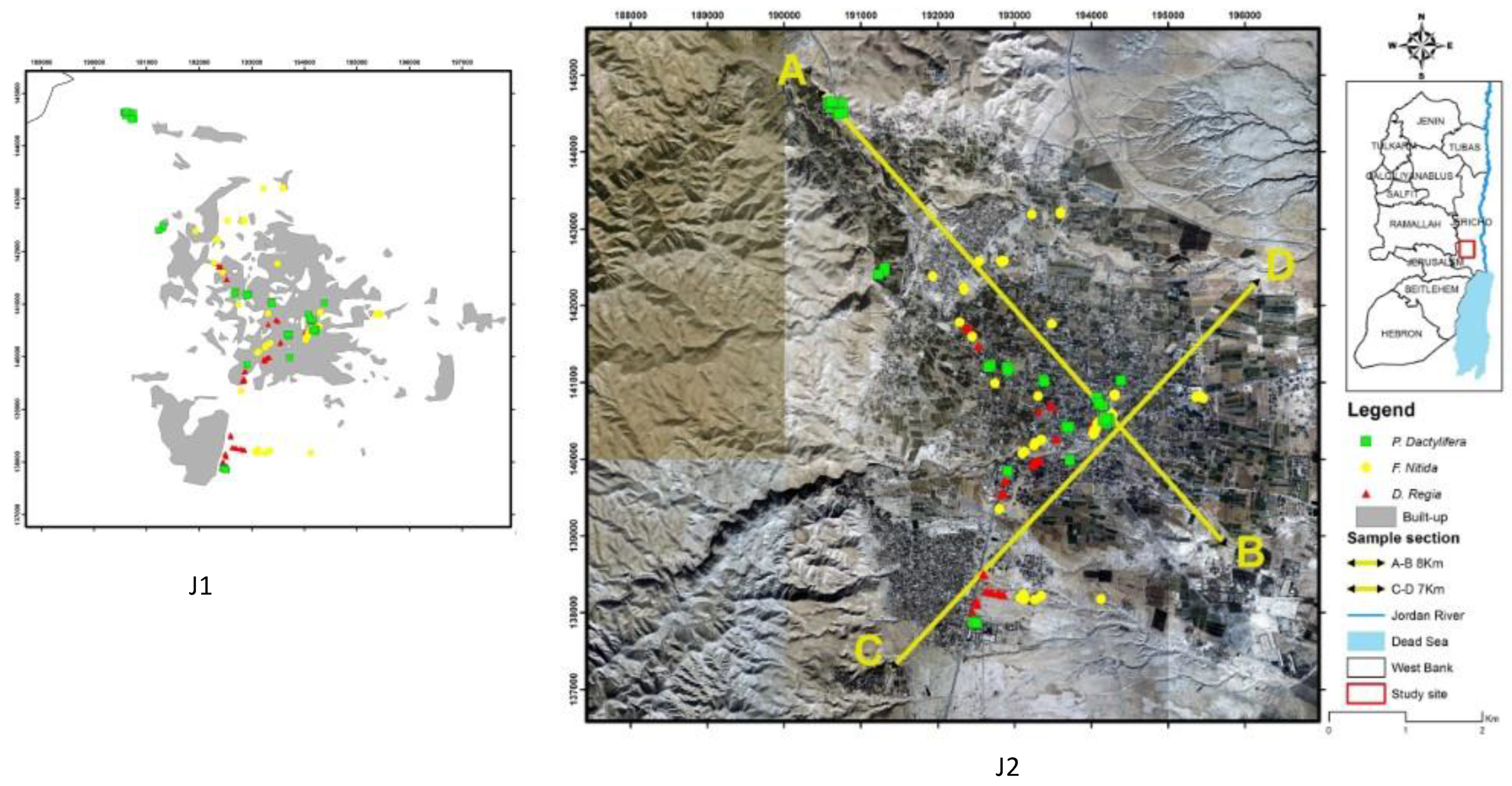 Forests 14 00671 g001