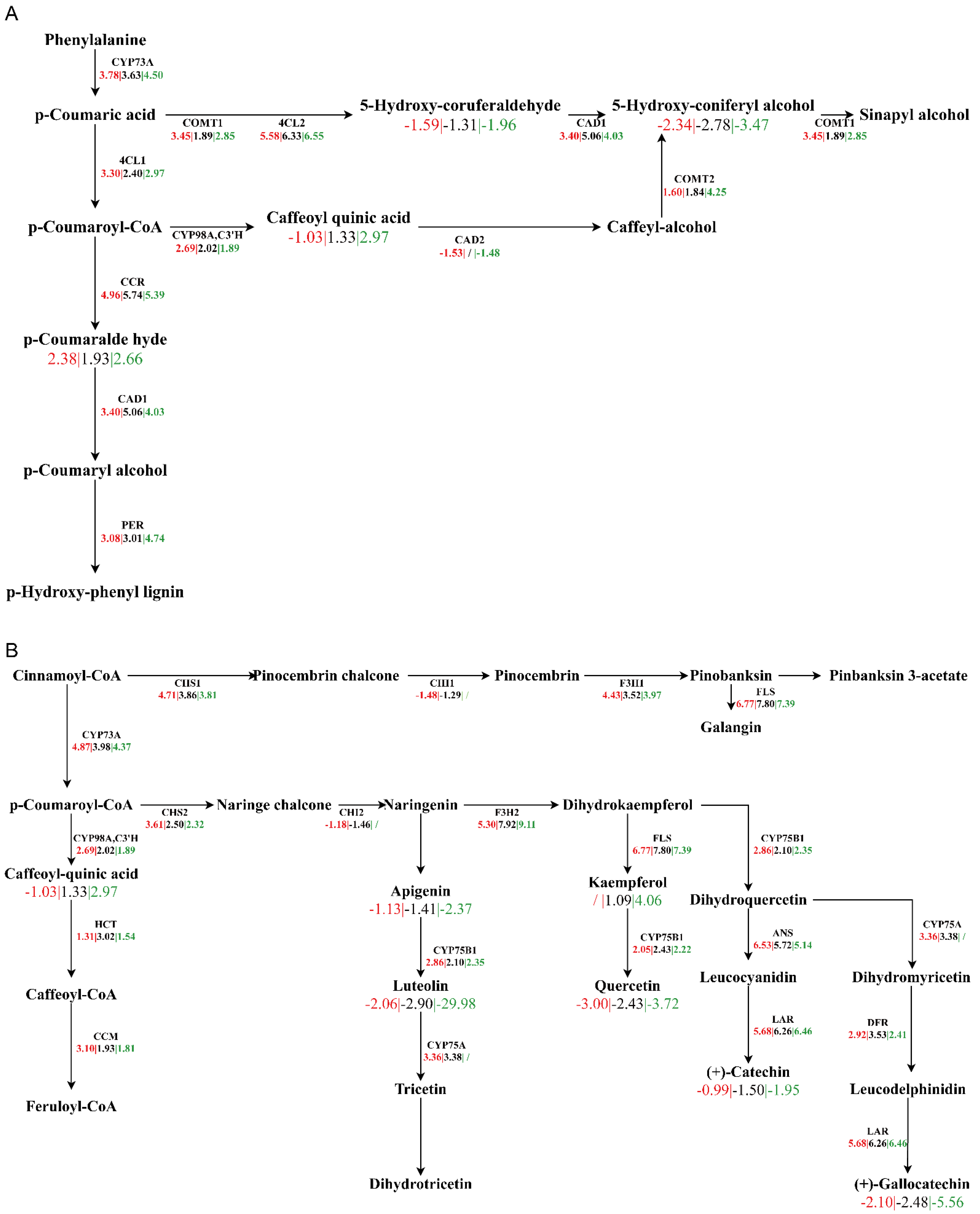 Forests 14 00676 g008 Forests 14 00676 g008