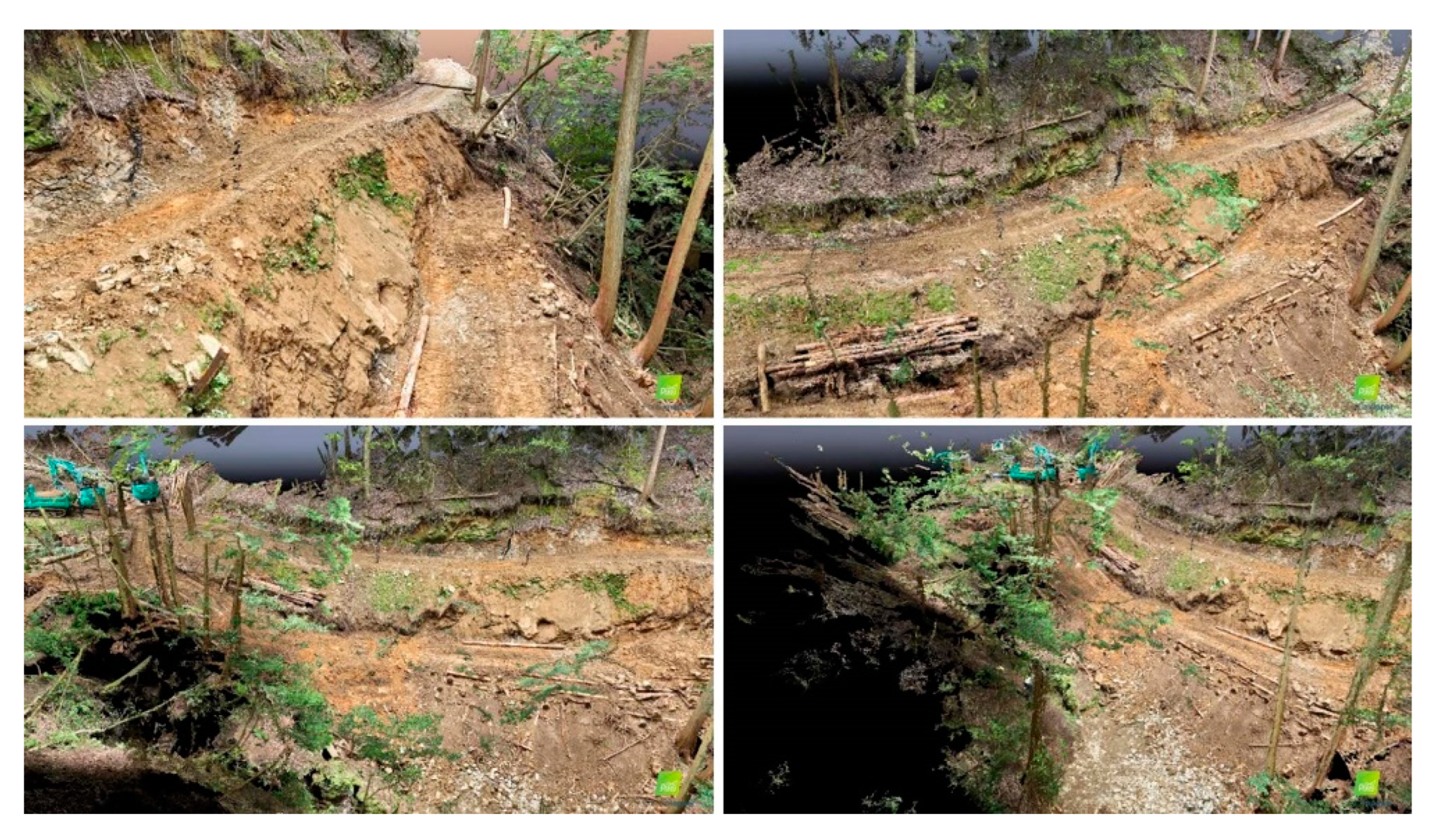 Forests 14 00677 g002