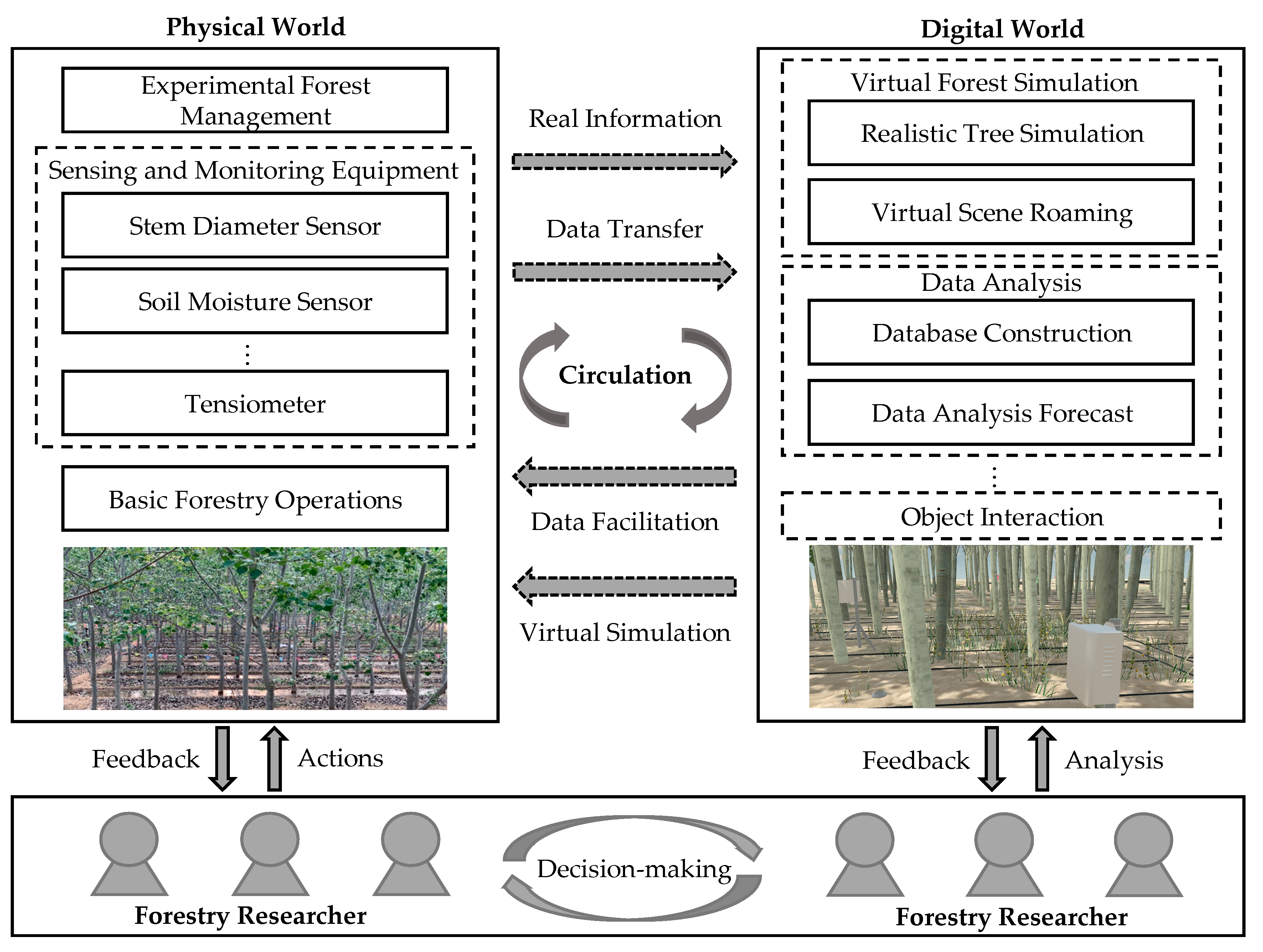 Forests 14 00683 g001