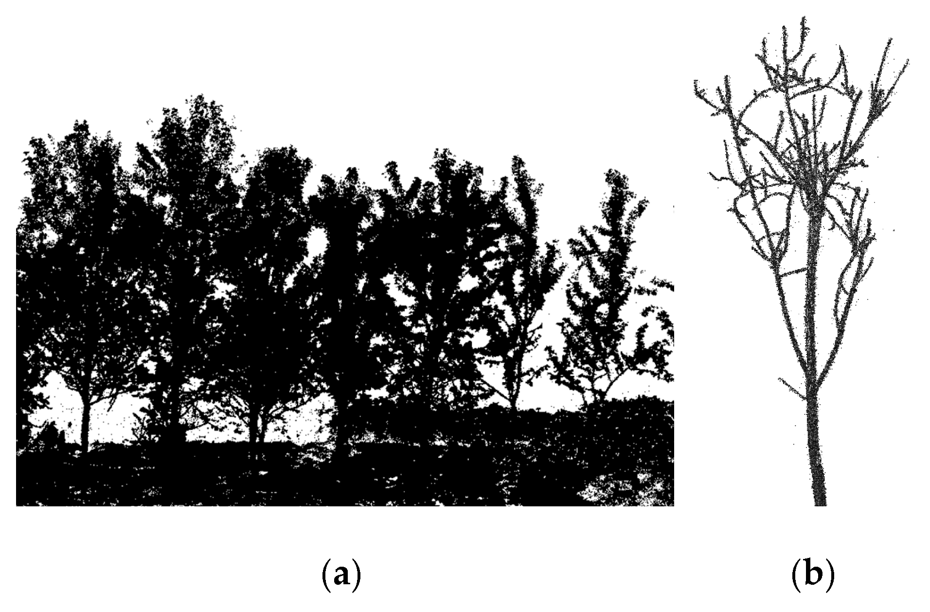 Forests 14 00683 g003
