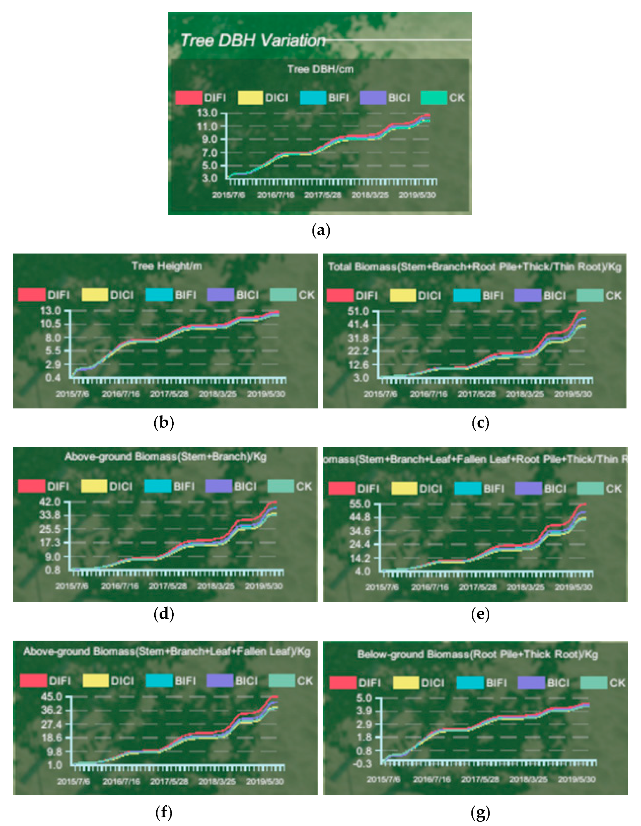 Forests 14 00683 g012