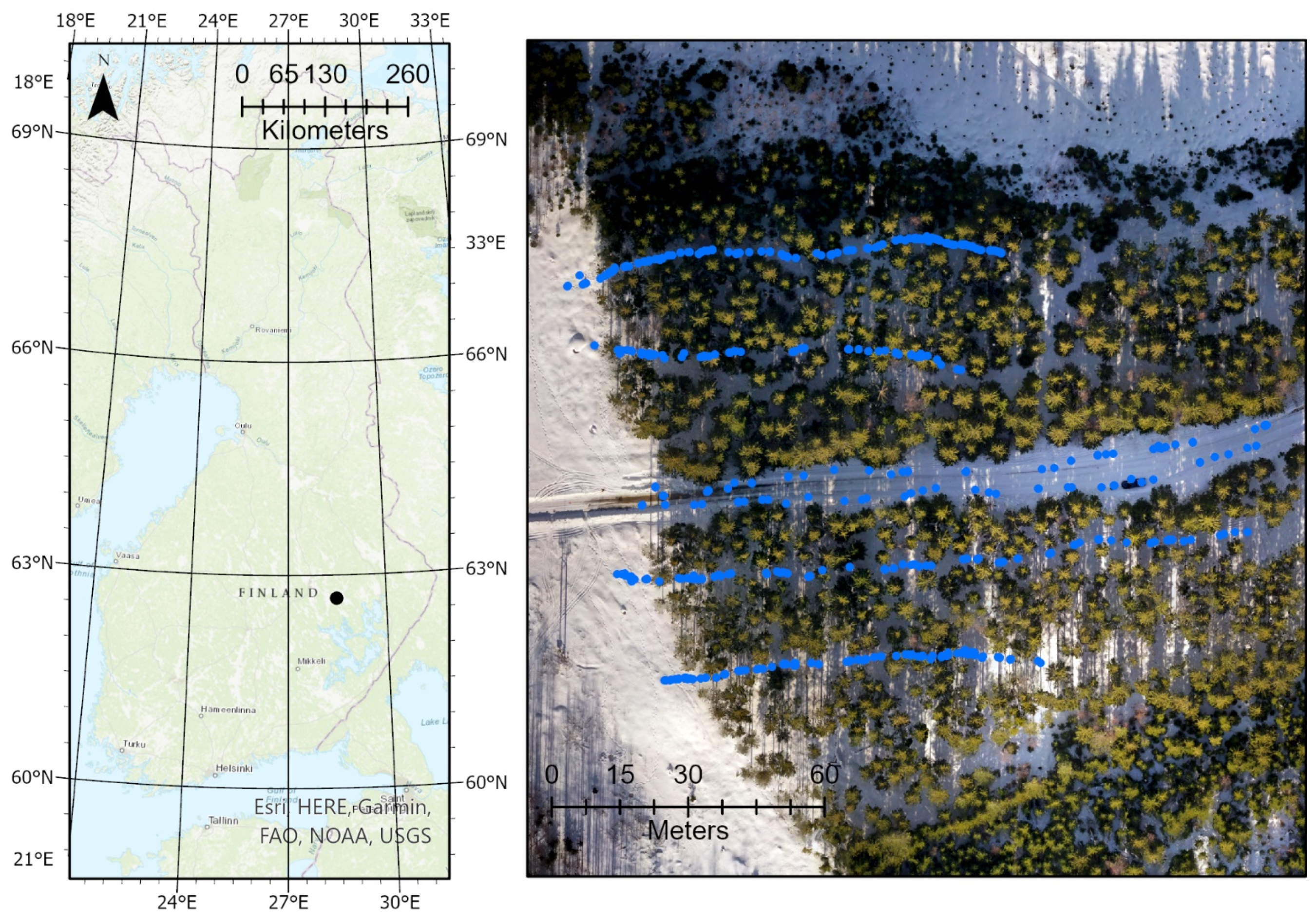 Forests 14 00689 g001
