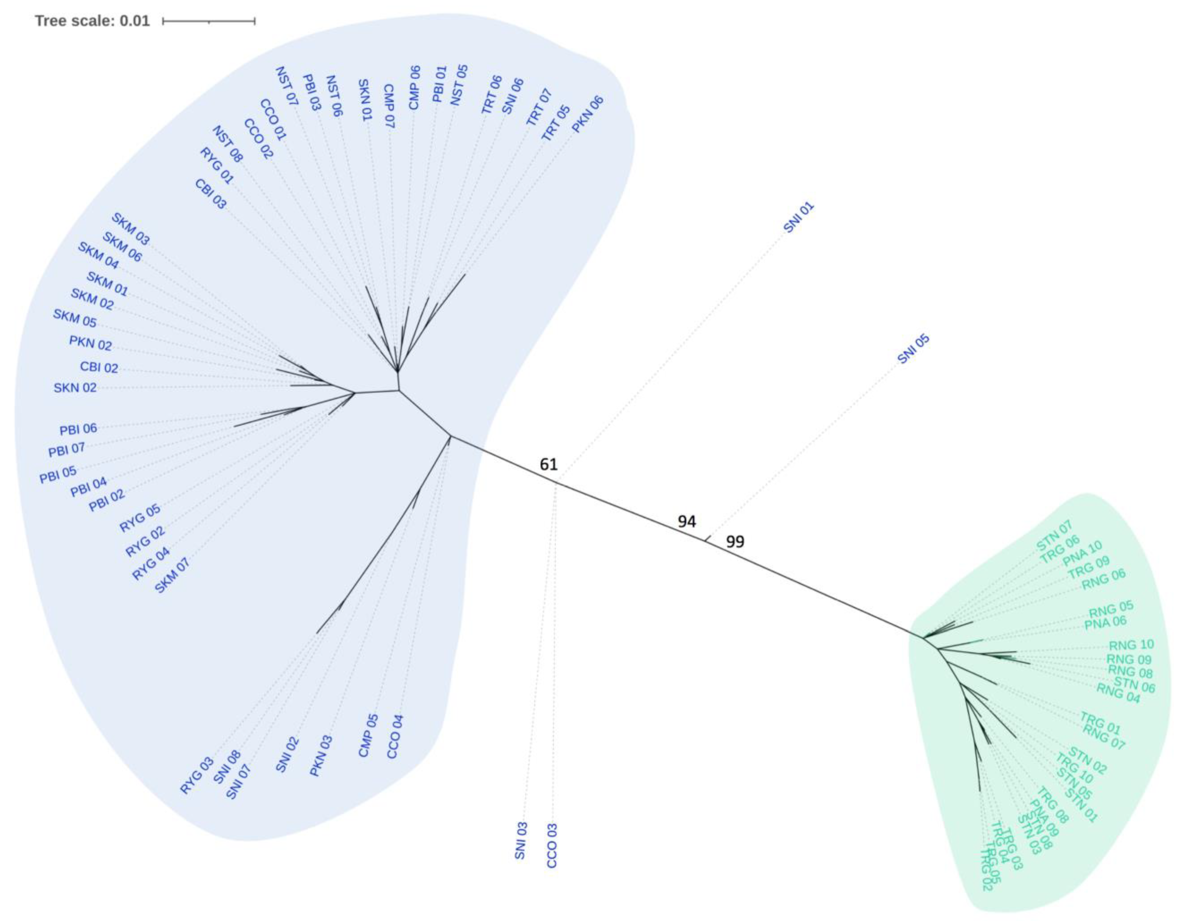 Forests 14 00693 g003