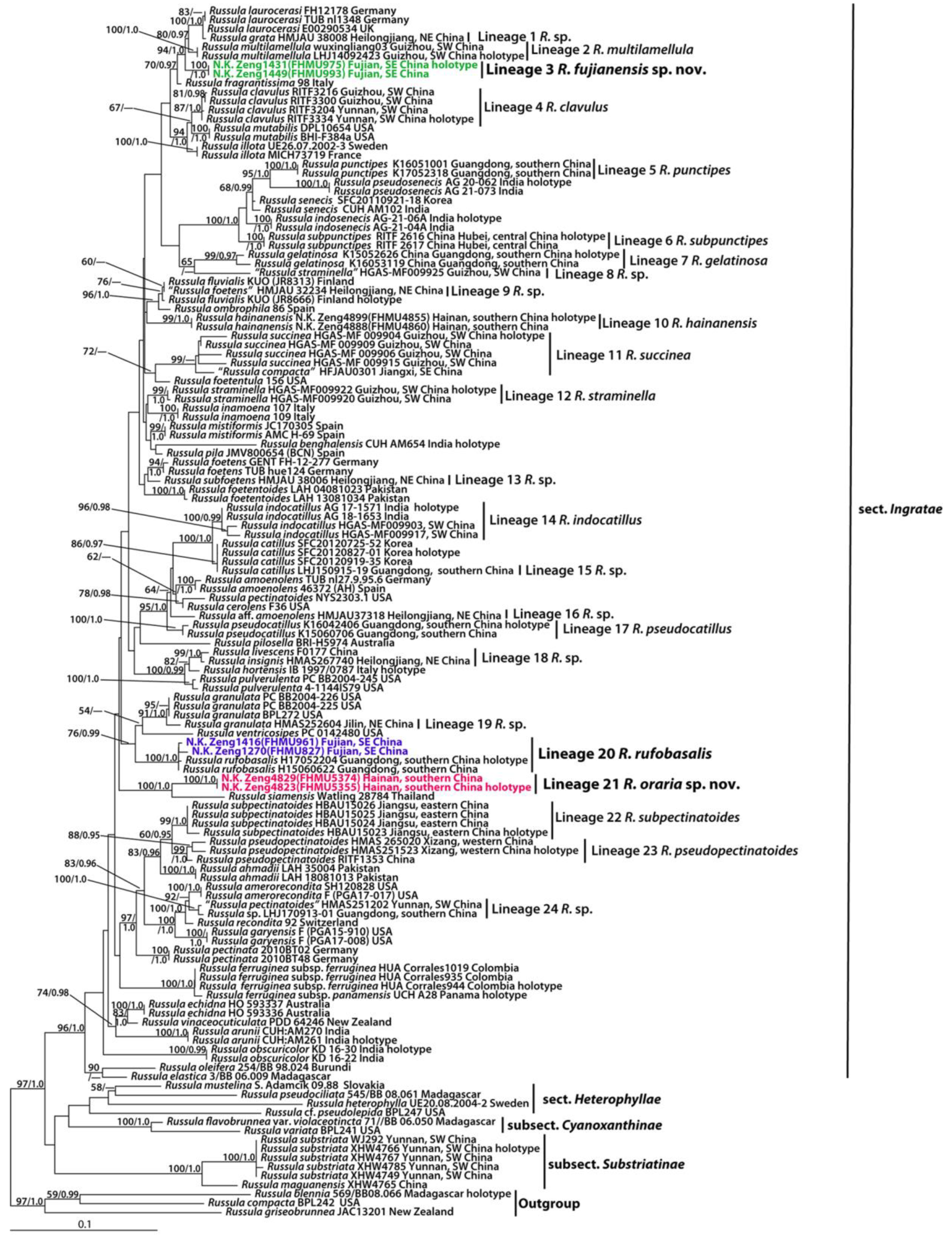 Forests 14 00695 g001 Forests 14 00695 g001