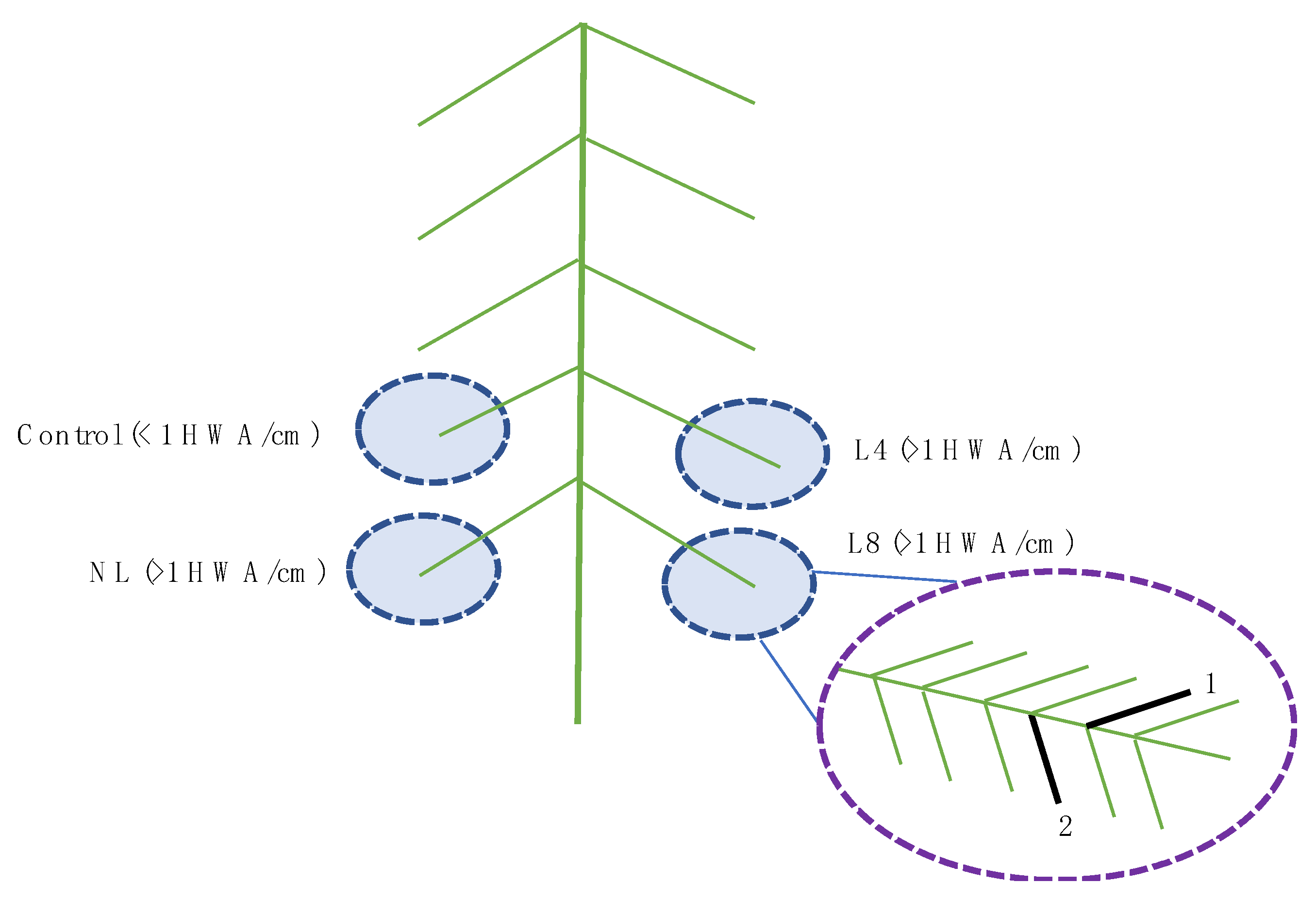 Forests 14 00698 g001 Forests 14 00698 g001