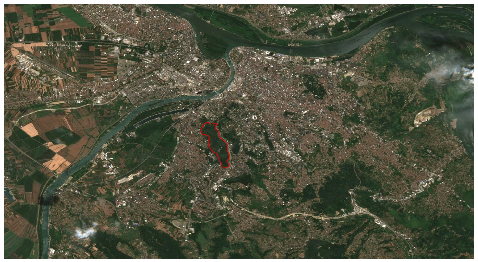 Forests 14 00700 g005 Forests 14 00700 g005