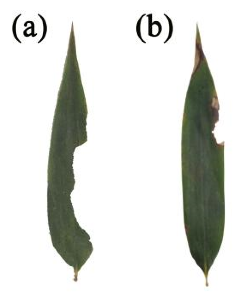 Forests 14 00702 g008 Forests 14 00702 g008