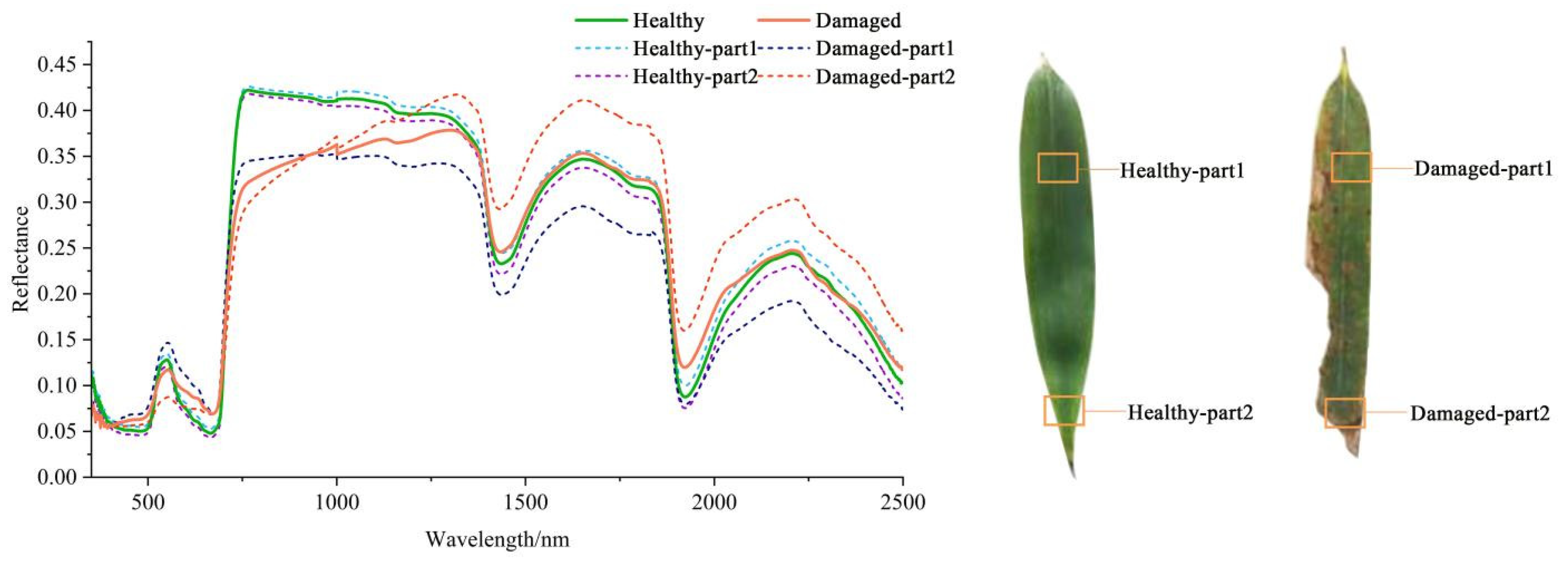 Forests 14 00702 g009 Forests 14 00702 g009